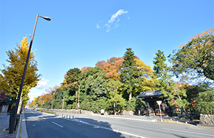 京都御所の写真