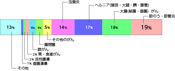 胆のう・胆管炎19%,大腸(結腸・直腸）がん18%,ヘルニア(鼠径・大腿・臍・腹壁)17%,虫垂炎14%,その他のがん5%,腸閉塞4%,膵がん4%,胃・食道がん2%,良性腫瘍2%,直腸潰瘍1%,その他13%