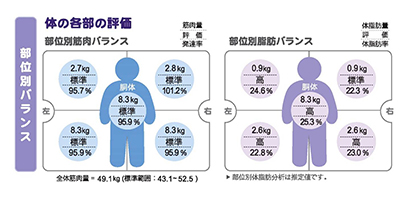 量 筋肉 筋肉量の平均値を男女別に解説。筋肉量の計算方法を知って最適な食事とトレーニングを行おう！