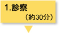 1.診察（約30分）