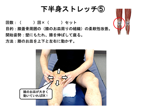 膝蓋骨の可動性向上