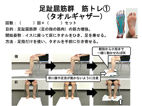タオルギャザー（足趾屈曲筋群）