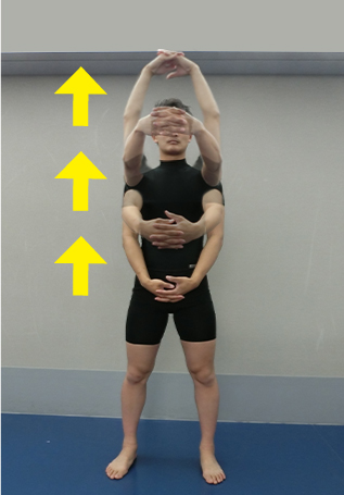 立位運動（前から）