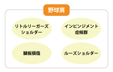野球肩の病態：リトルリーガーズショルダー インピンジメント症候群 腱板損傷 ルーズショルダー