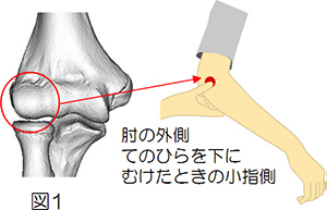 図1