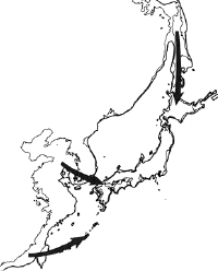 日本人の渡来ルート