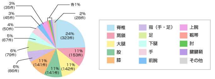 術後リハビリテーションの内訳のグラフ