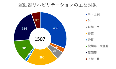 術後リハビリテーションの内訳のグラフ