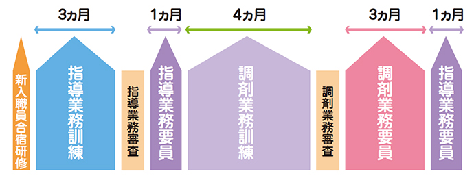 教育スケジュール例