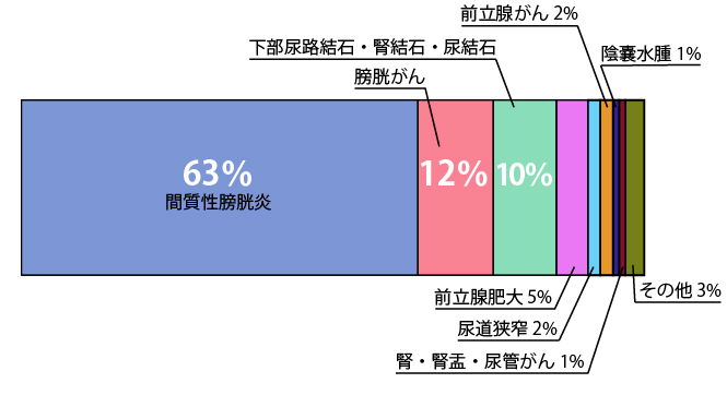 膀胱炎65%,膀胱がん14%,下部尿路結石・腎結石・尿路結石11%,腎・腎盂・尿管がん3%,水腎症2%,その他6%