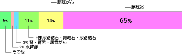 膀胱炎65%,膀胱がん14%,下部尿路結石・腎結石・尿路結石11%,腎・腎盂・尿管がん3%,水腎症2%,その他6%