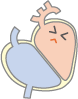 心臓イラスト