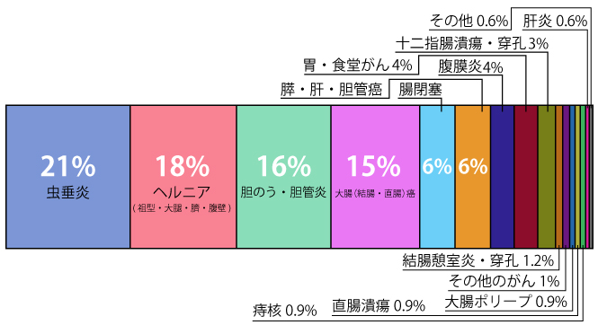 胆のう・胆管炎19%,大腸(結腸・直腸）がん18%,ヘルニア(鼠径・大腿・臍・腹壁)17%,虫垂炎14%,その他のがん5%,腸閉塞4%,膵がん4%,胃・食道がん2%,良性腫瘍2%,直腸潰瘍1%,その他13%