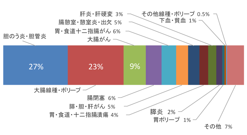 大腸腺腫・ポリープ28.2%,胆のう炎・胆管炎22.6%,胃・食道十二指腸がん9.2%,膵・胆・肝がん5.8%,胃・食道・十二指腸潰瘍5.8%,腸閉塞4.4%,膵炎3.9%,腸憩室・憩室炎・出血3.9%,大腸がん3.4%,肝炎・肝硬変1.9%,その他10.9%