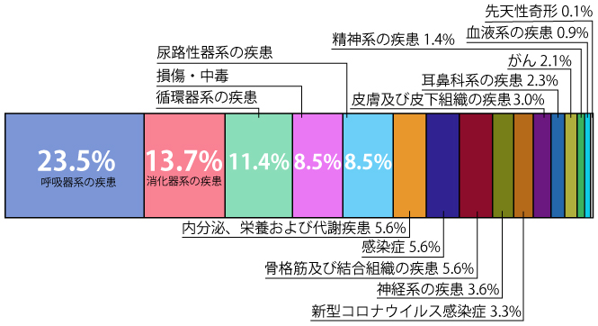 呼吸器系の疾患22%,尿路性器系の疾患13%,消化器系の疾患13%,循環器系の疾患12%,筋骨格系および結合組織の疾患7%,神経系の疾患6%,内分泌、栄養および代謝疾患6%,感染症6%,損傷、中毒6%,皮膚および皮下組織の疾患3%,がん2%,精神系の疾患2%,血液系の疾患0.8%,耳鼻科系の疾患0.7%