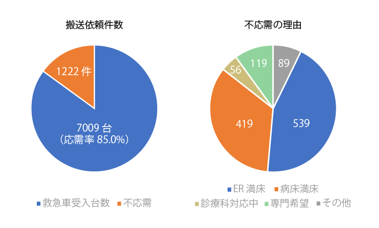 救急搬送受入実績