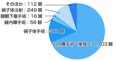 手術実績グラフ2017