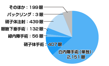 手術実績グラフ2019