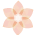 leaf02