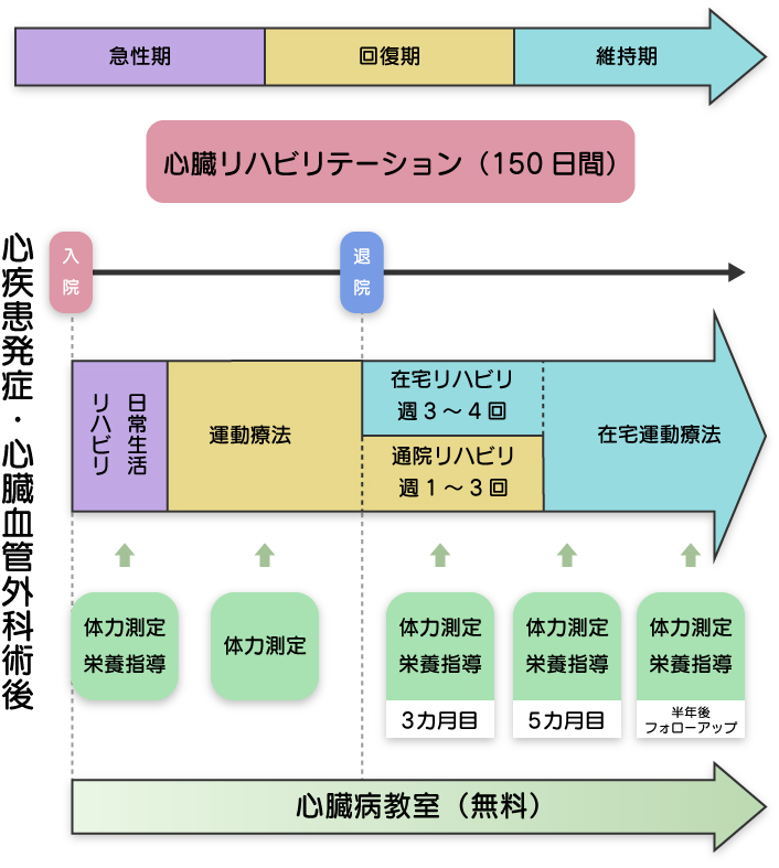 心臓リハビリテーションプログラム例（図説）