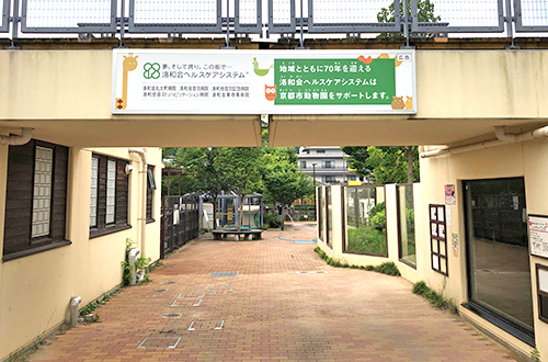 京都市動物園をサポーターとして応援